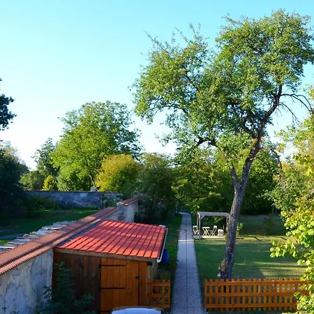 Le Des Sureaux * Rarécourt